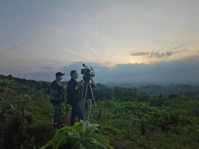创意破圈！西沙群岛电商产品宣传视频用故事化叙事引爆流量