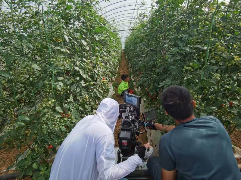 西沙群岛产品宣传视频拍摄公司进阶指南，助力品牌抢占传播高地